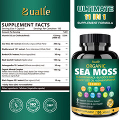 Illustration showing the 11 ingredients in Bualle Sea Moss Capsules