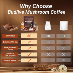 Focus, energy, and cognition support from adaptogenic mushrooms