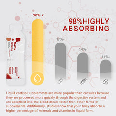 Graphic showing benefits: energy, aging support and cellular health