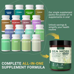 Illustration of immune support ingredients in gummies