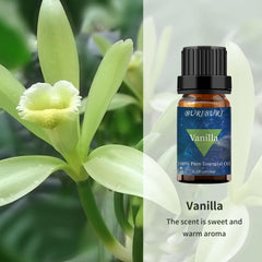Close-up of vanilla oil bottle label