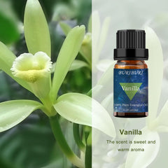 10ml BURIBURI vanilla essential oil packaging