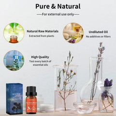 Cedar wood base notes visual in BURIBURI fragrance