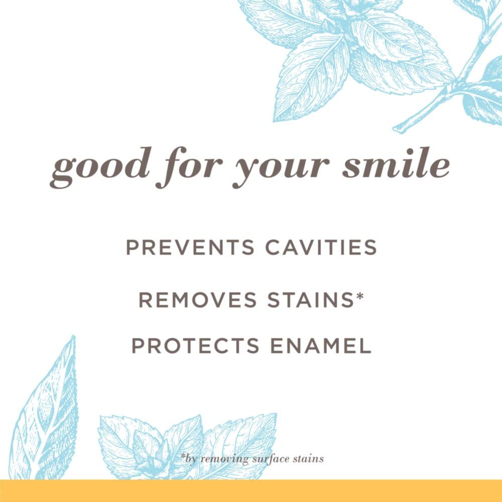Detail of the fluoride and ADA Accepted label on Burt's Bees toothpaste.