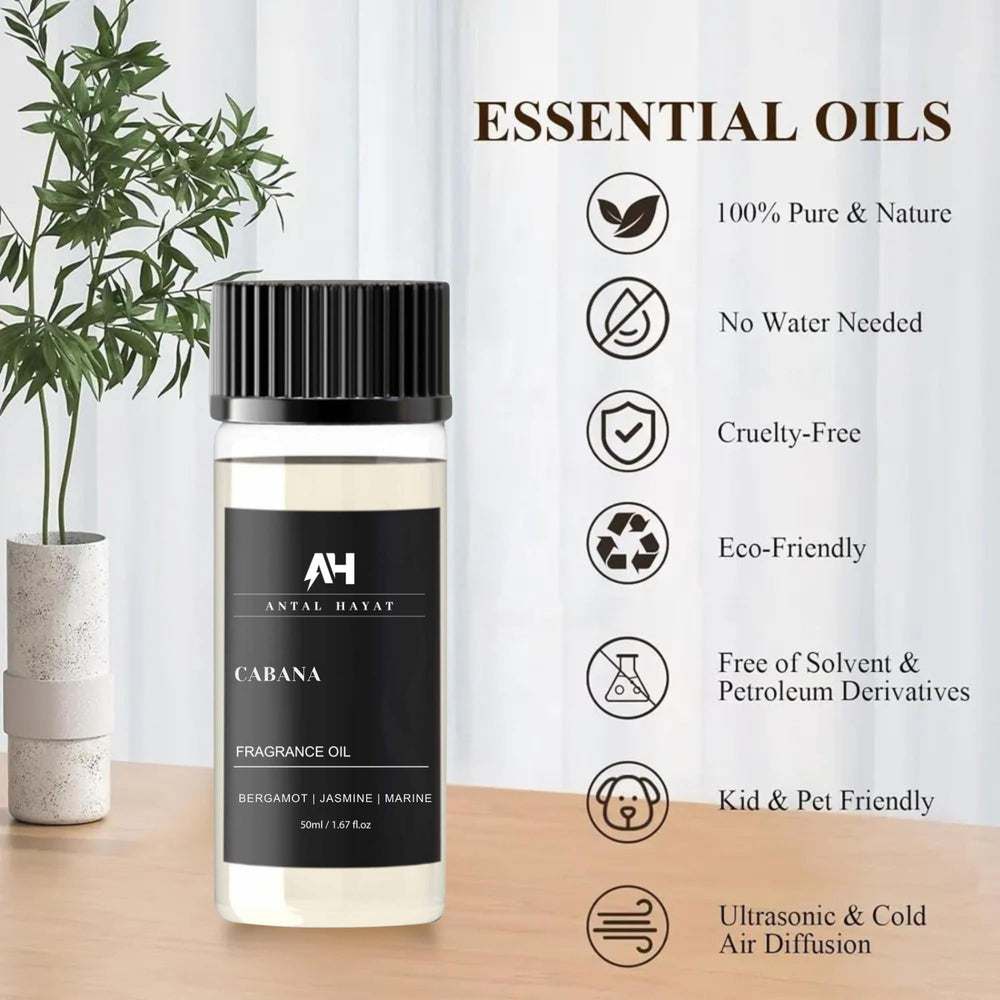 Amber and Musk base notes visual for Cabana diffuser