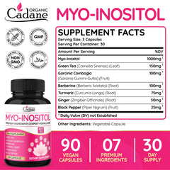 Close-up of ingredients highlighting Garcinia Cambogia, Berberine, Turmeric, Ginger, and Black Pepper