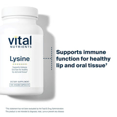Lysine supports calcium absorption for bone health