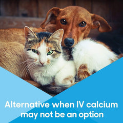 Breeders whelping kit featuring Calcium Now calcium paste