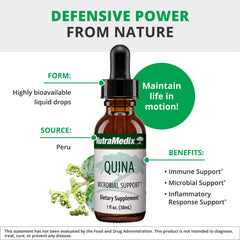 Calisaya tree bark imagery for Quina herbal extract