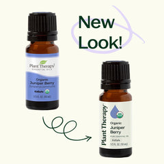 Calming aromatherapy oil image emphasizing mood support
