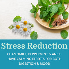 Calming herbs Chamomile, Peppermint and Anise Seed illustration