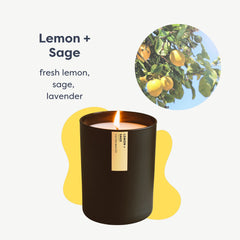 Close-up of the wick on Calyan Wax Co. Passionfruit & Ginger 75-hour soy candle