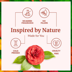 Cold-pressed Camellia Seed Oil processing illustration