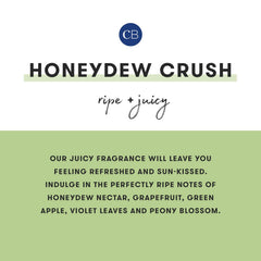 Diffuser sticks arranged with Capri Blue Honeydew Crush set