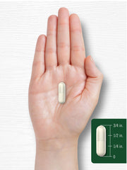 Close-up view of Wild Yam Root capsules