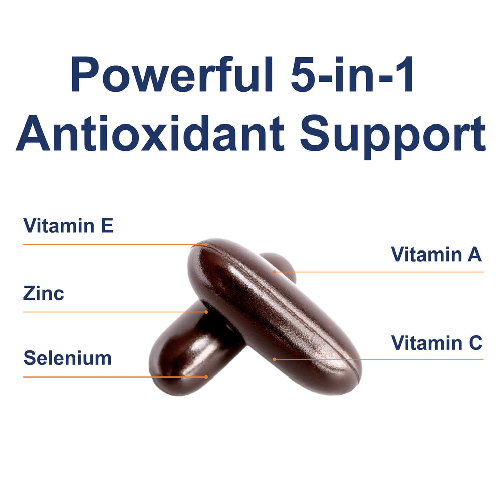Immune support concept for Carlson ACES + Zn
