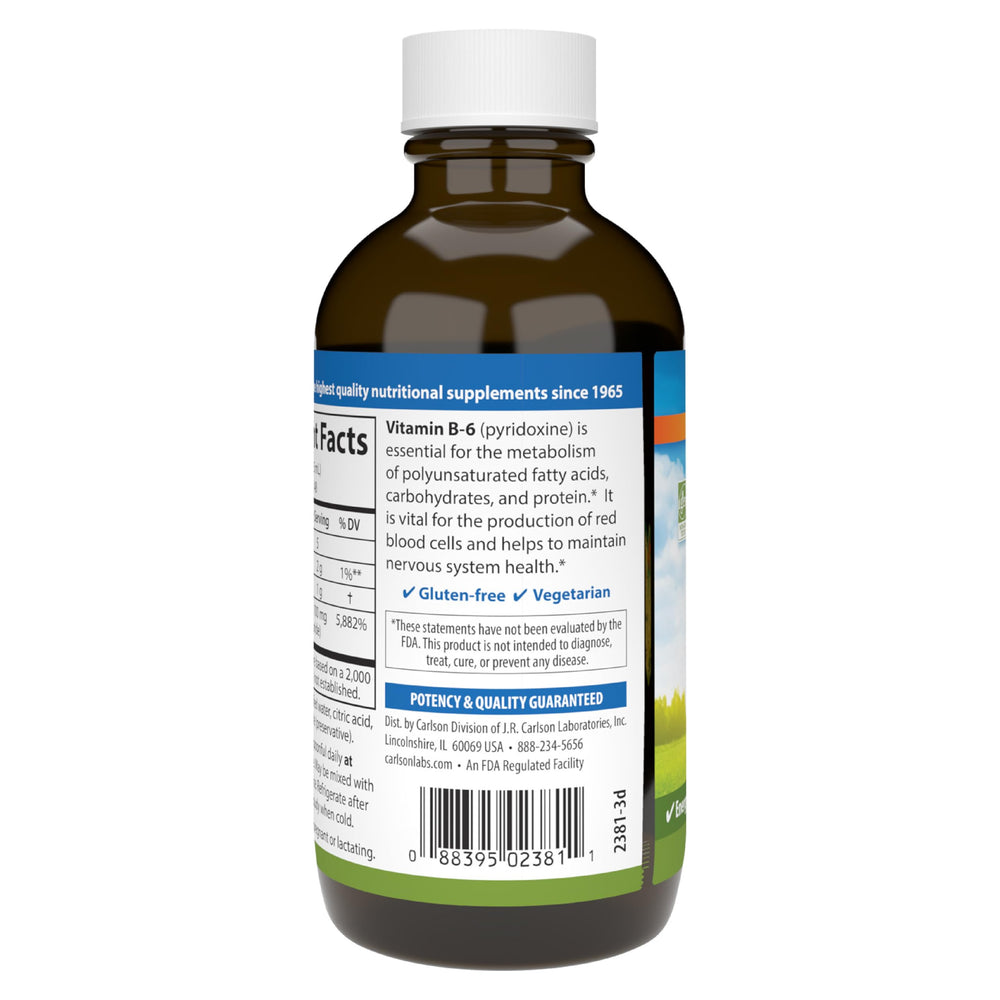 Carlson B-6 Liquid product shot with Berry Lemonade branding