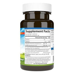 Algae source illustration for plant-based DHA
