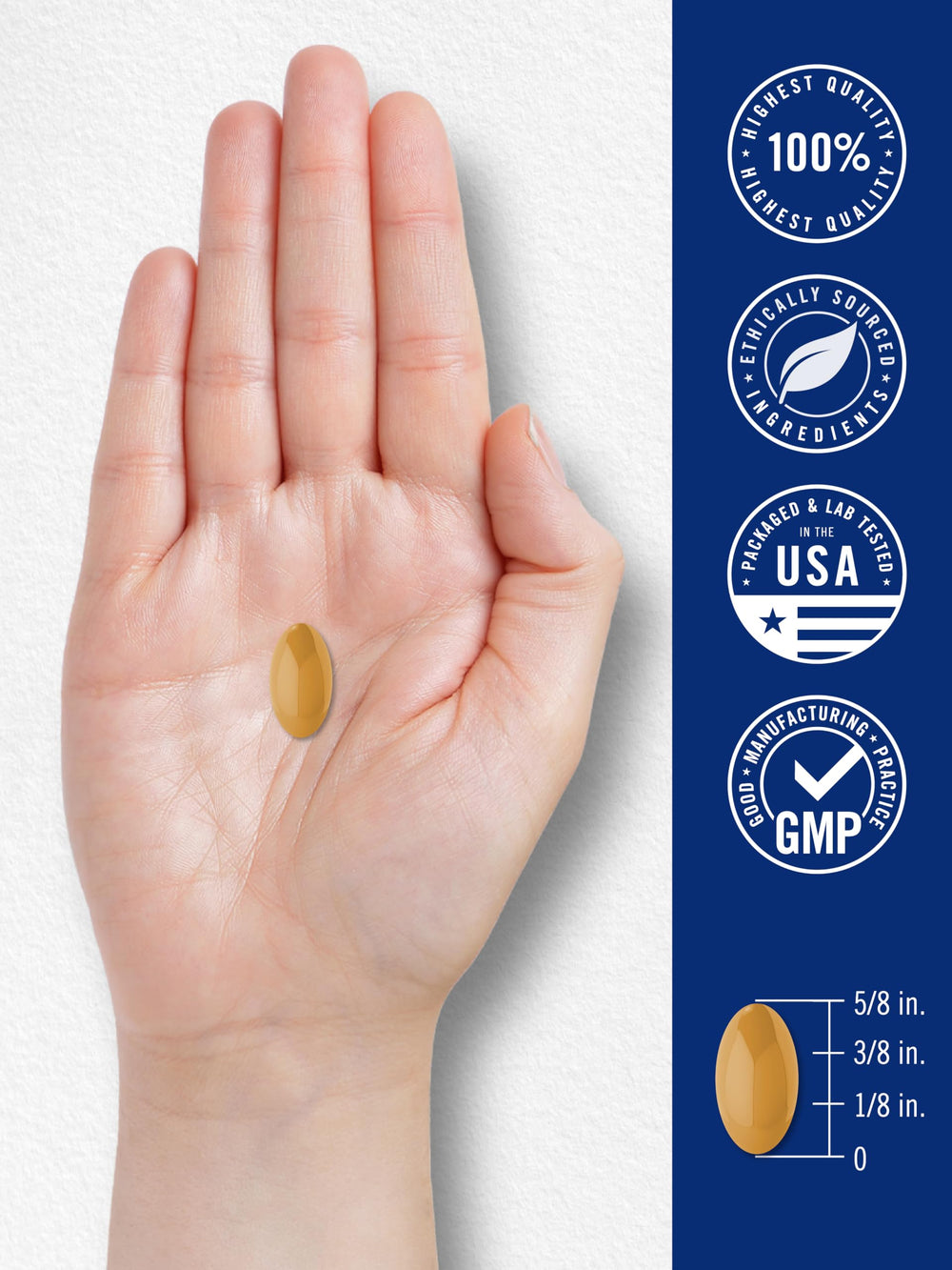 Lifestyle image depicting daily wellness with Carlyle Brain Up