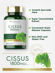 Illustration of 4:1 Cissus Quadrangularis extract