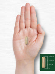 Product packaging front view with branding