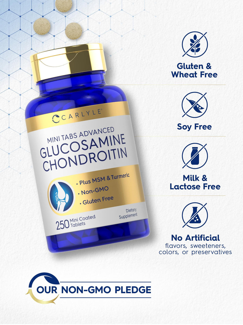 Ingredients panel for Carlyle Glucosamine Chondroitin MSM