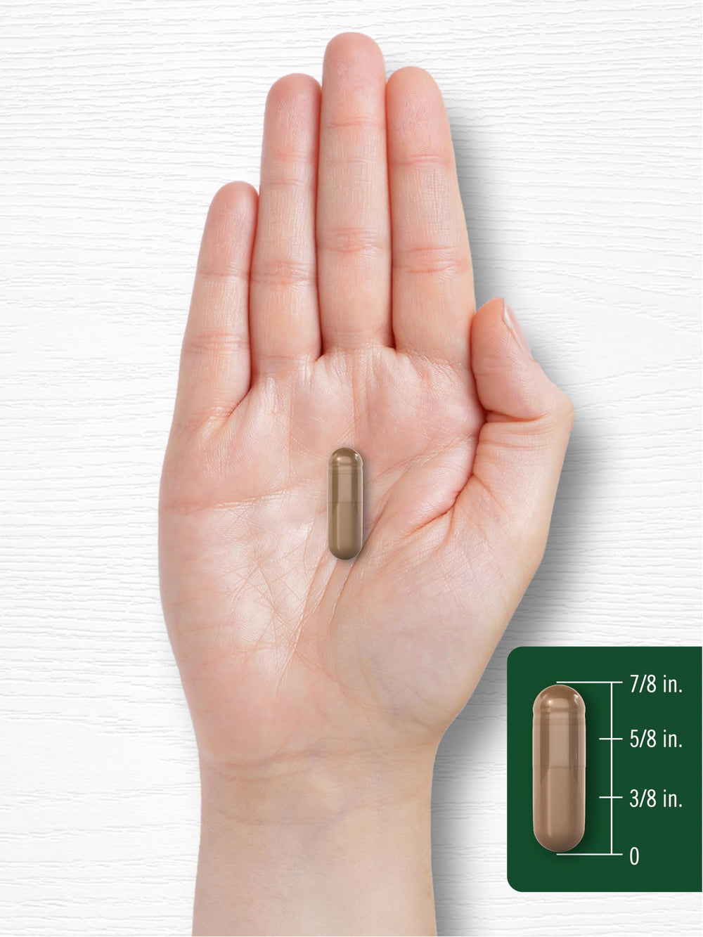 Daily use Carlyle Reishi capsules for wellness
