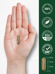 Capsules beside herbs and natural plant imagery