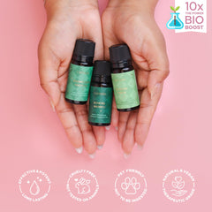 Assorted cozy scents in Carnatia Aroma Oil Set