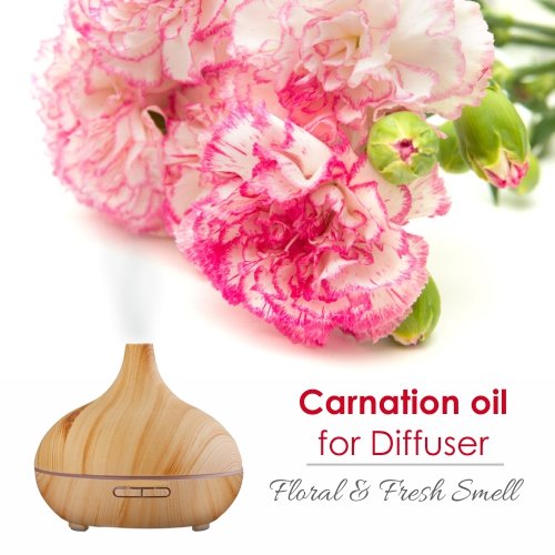 Carnation essential oil for skin care and massage