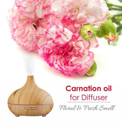 Carnation essential oil for skin care and massage