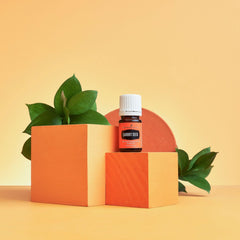 Carrot Seed Oil amber glass bottle closeup emphasizes premium distillation for soothing aroma.