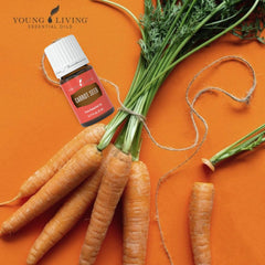 Carrot Seed Oil diffuser-ready setup invites aromatherapy use and calming ambience.