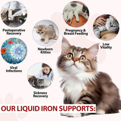 Ingredients: iron, folate, and vitamin B12 for cats