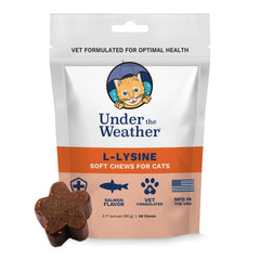 Close-up of salmon-flavored L-Lysine cat chews for daily use