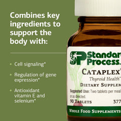 Beet root imagery representing Cataplex E ingredients