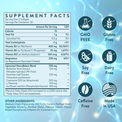 Liposomal delivery system illustration