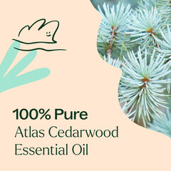 Batch-specific GC-MS report for Atlas Cedarwood essential oil