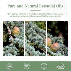 Gift box packaging for cedarwood essential oil