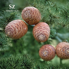 Earthy woodsy Cedarwood essential oil aroma close-up.