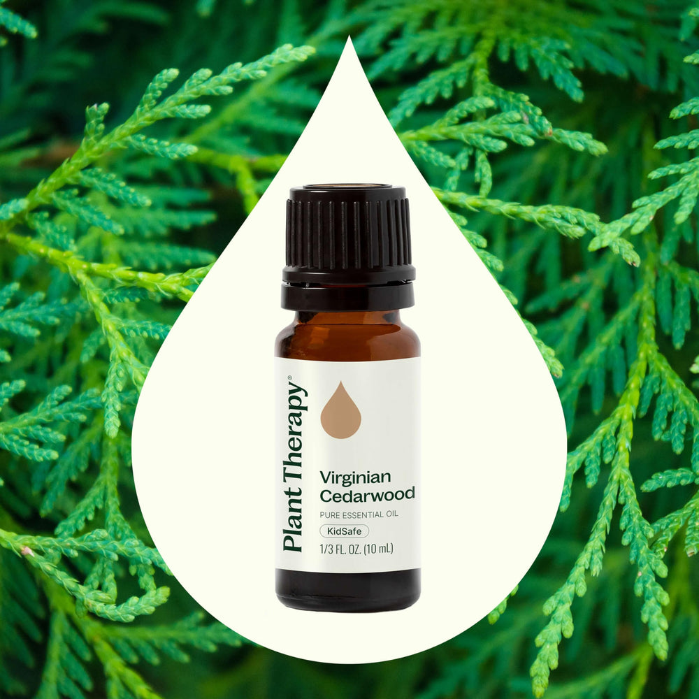 Cedarwood Virginian essential oil 10 mL cap