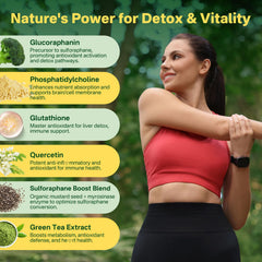 Cellular detox and renewal concept illustration