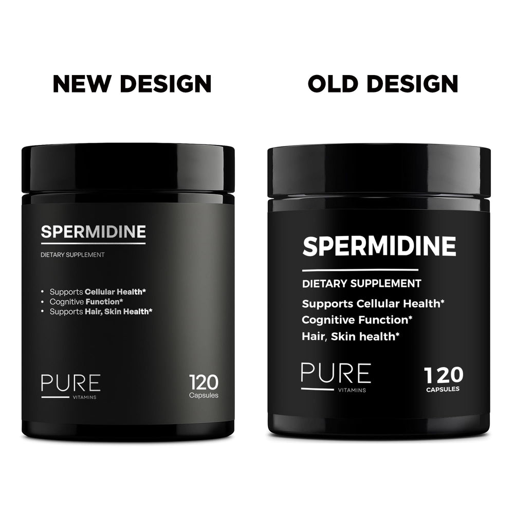 Cellular renewal concept featuring spermidine autophagy