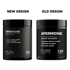 Cellular renewal concept featuring spermidine autophagy