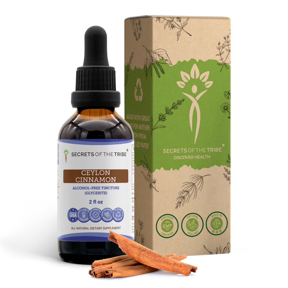 Front view of Secrets of the Tribe Ceylon Cinnamon Tincture 2 oz bottle