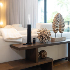 Long-lasting diffuser fragrance filling a sophisticated space