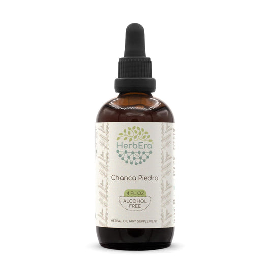 Chanca Piedra B120 Alcohol-Free Herbal Extract Tincture bottle with dropper – 4 oz