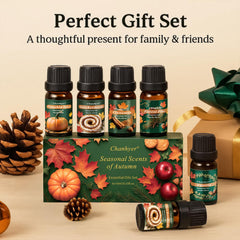 Chanhyer bottles staged in cozy living room, showcases seasonal ambiance