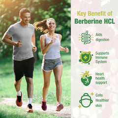 CHANUBITO Berberine 4-pack back with supplement facts