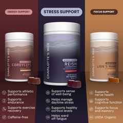 Back view of Charlotte's Web Stress Support Gummies bottle